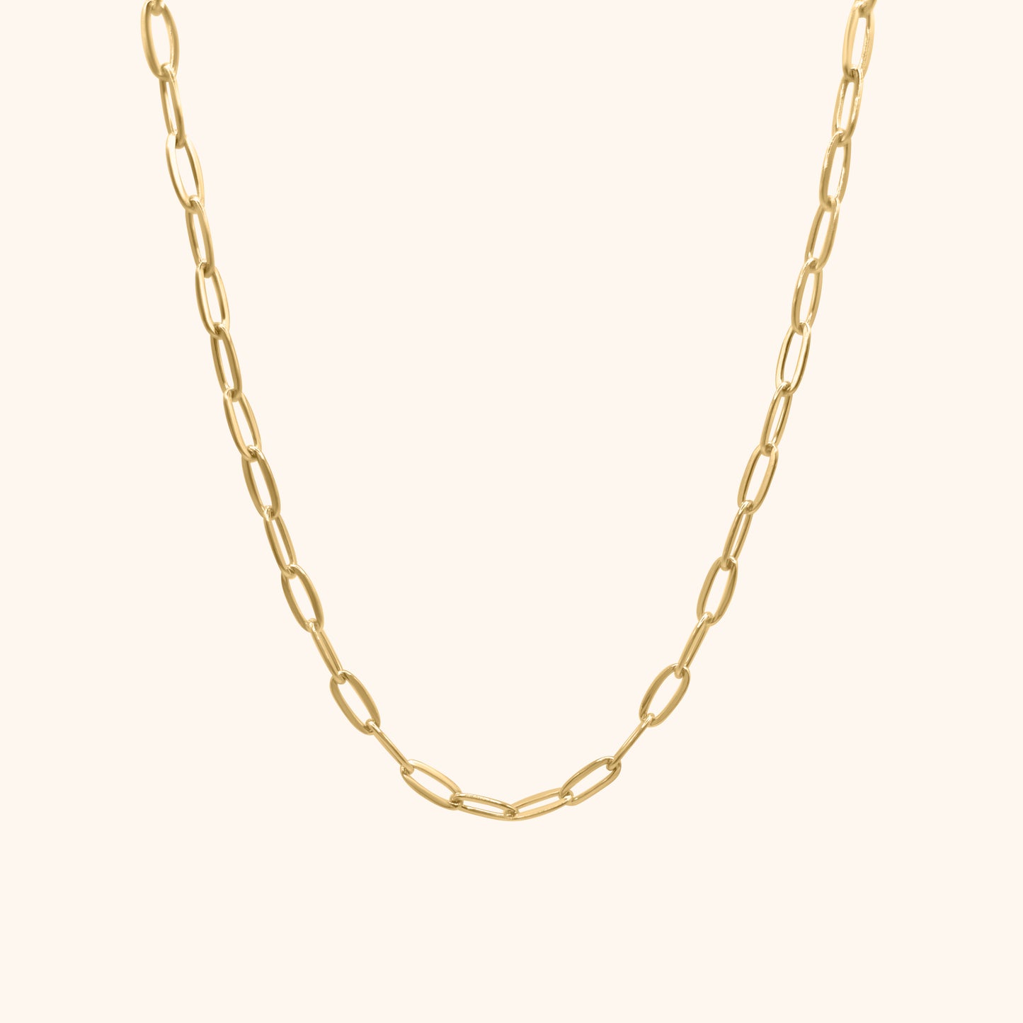 Paperclip Necklace